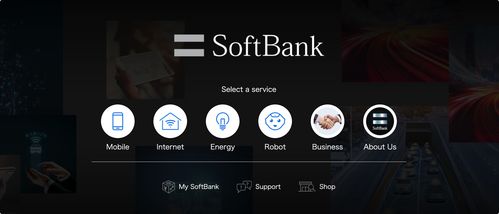 2021日本互聯網信息服務發展研究報告