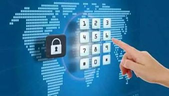 大腦掃描有助判斷經(jīng)濟(jì)行為風(fēng)險(xiǎn)傾向，人血竟能“毒殺”蚊子丨科技早新聞